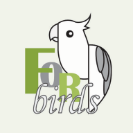 致鸟forbirds 1.1.4 安卓版