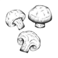 蘑菇识别高手 1.1 安卓版