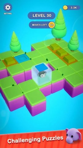 猫猫迷宫冒险游戏