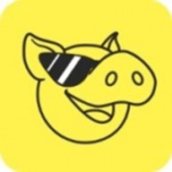 豪猪阅读App 3.4.6 安卓版