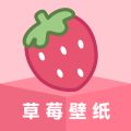 草莓壁纸App