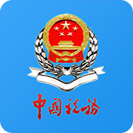 重庆电子税务局App