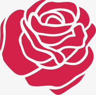 红玫瑰直播App 4.17.04 安卓版