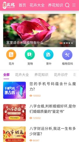 玫瑰花园app