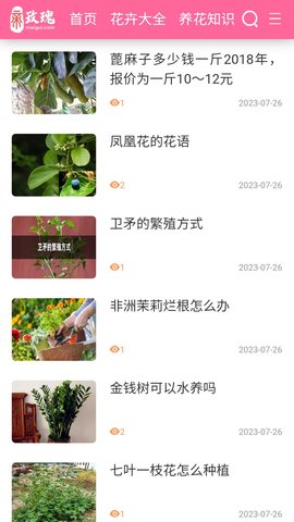 玫瑰花园app