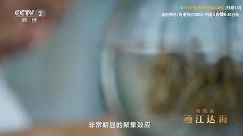 毒盒TV电视直播