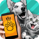 Pet Translator宠物对话翻译器 1.2 安卓版