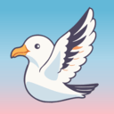 海鸥直播App