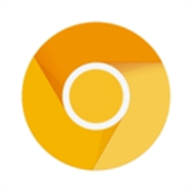 Chrome Canary 122.0.6254 安卓版