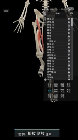 3D动态解剖App