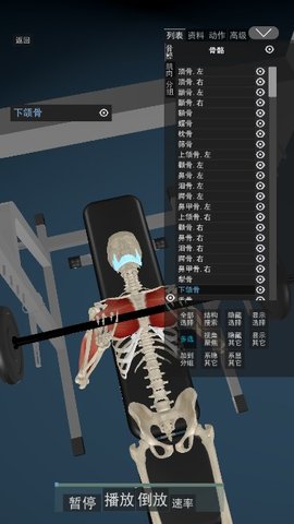 3D动态解剖App