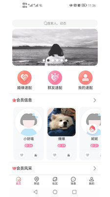 相知网App