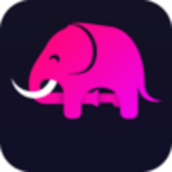 大象直播平台 3.9.3 免费版