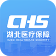 湖北智慧医保服务平台 1.2.100 安卓版