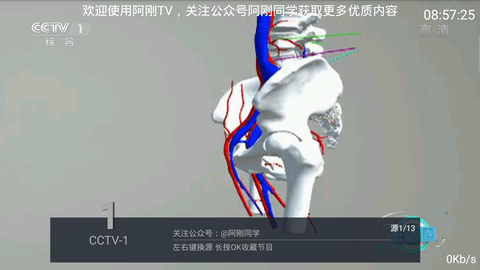 阿刚TV电视直播