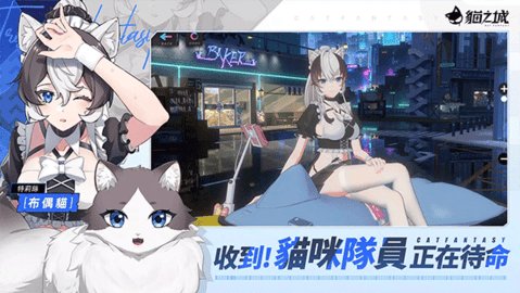 猫之城官方版