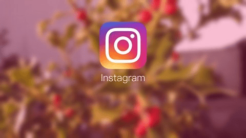 instagram下载